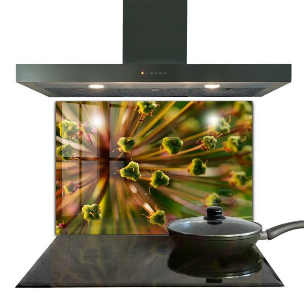 Szkło na ścianę do kuchni Kwiat makro fotografia