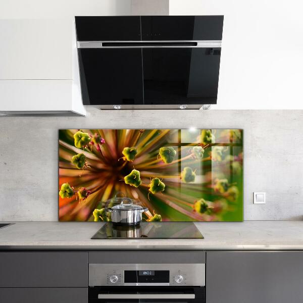 Szkło na ścianę do kuchni Kwiat makro fotografia