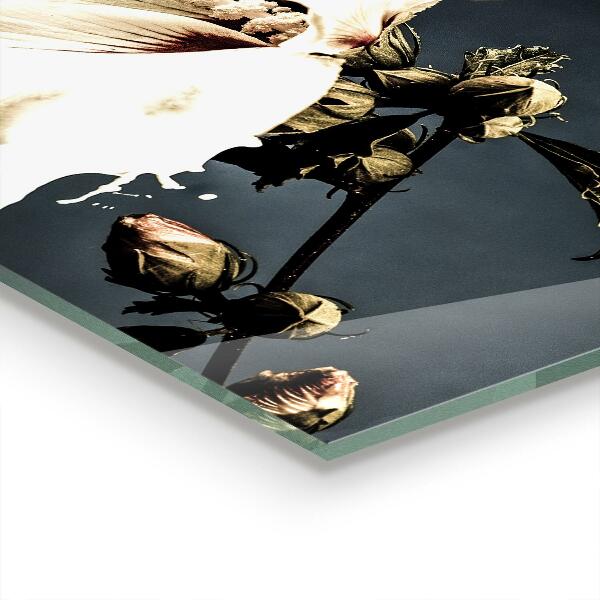 Szkło na ścianę do kuchni Abstrakcyjny Biały Kwiat