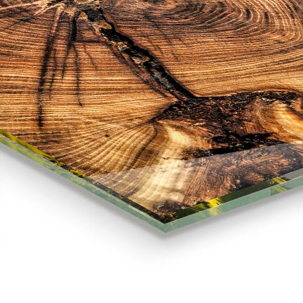 Lacobel do kuchni Tekstura Pnia