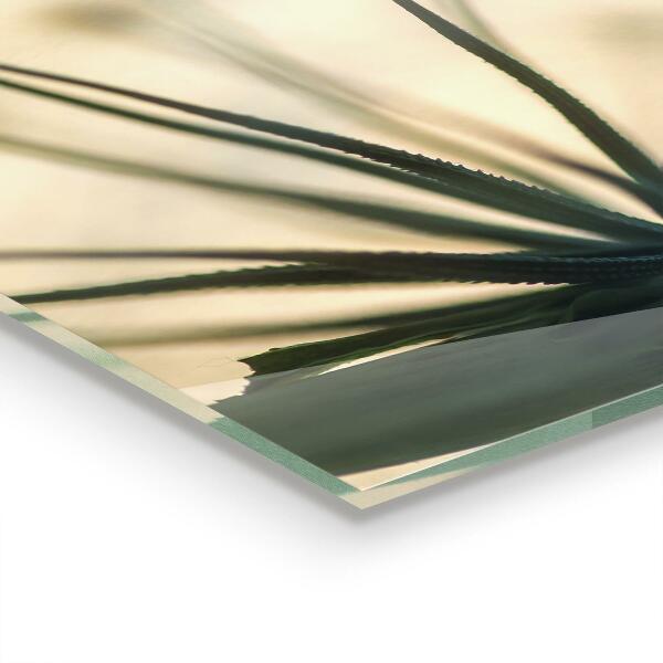 Szkło na ścianę do kuchni Piękny Delikatny Dmuchawiec