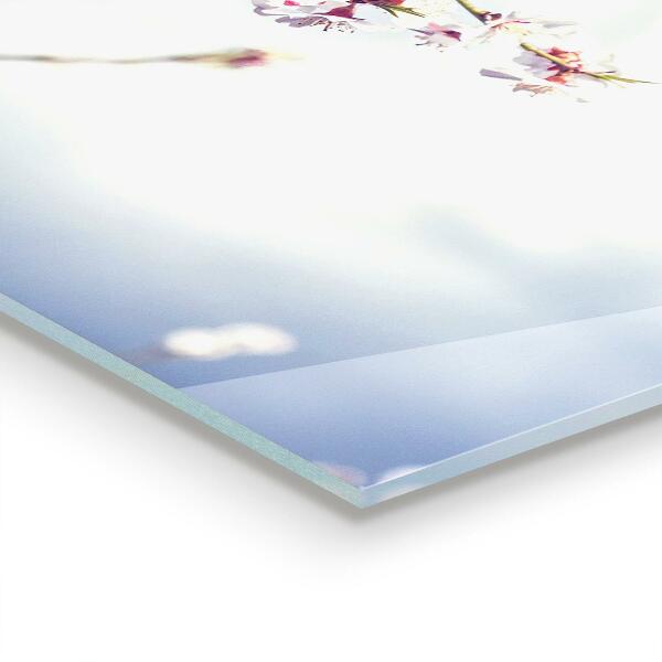 Szkło na ścianę do kuchni Delikatne Różowe Kwiaty