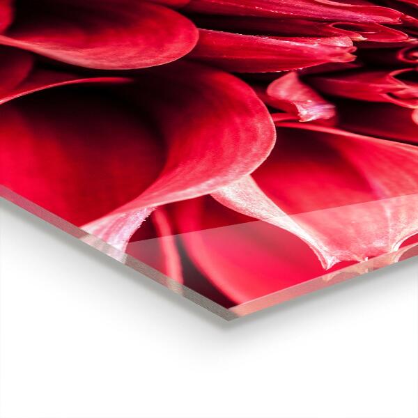 Szkło na ścianę do kuchni Energetyczny Kwiat Moc Natury