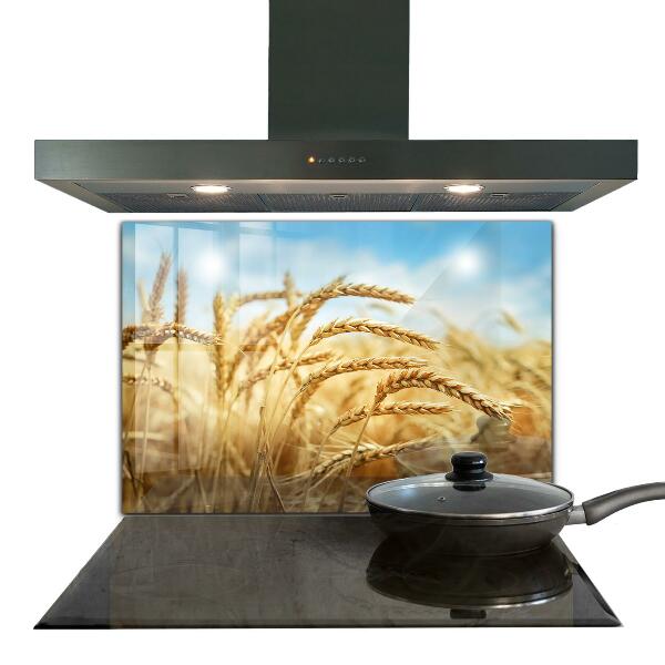 Szkło na ścianę do kuchni Zboże Dary Matki Natury