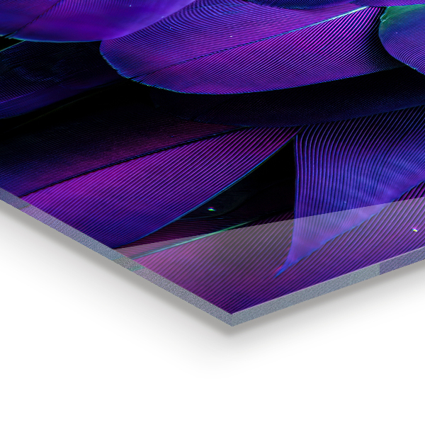 Lacobel do kuchni Pióra Egzotycznego Ptaka