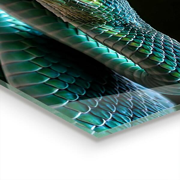 Panel szklany do kuchni Wąż Dzika Przyroda