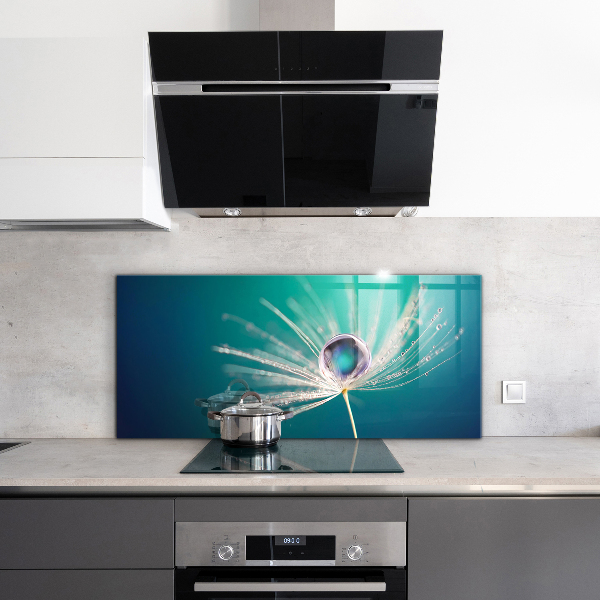 Szkło na ścianę do kuchni Mniszek z Kroplą Rosy