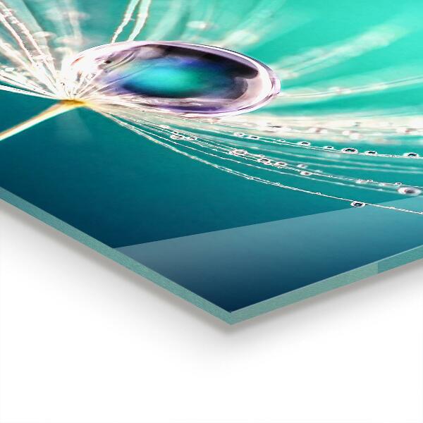 Szkło na ścianę do kuchni Mniszek z Kroplą Rosy