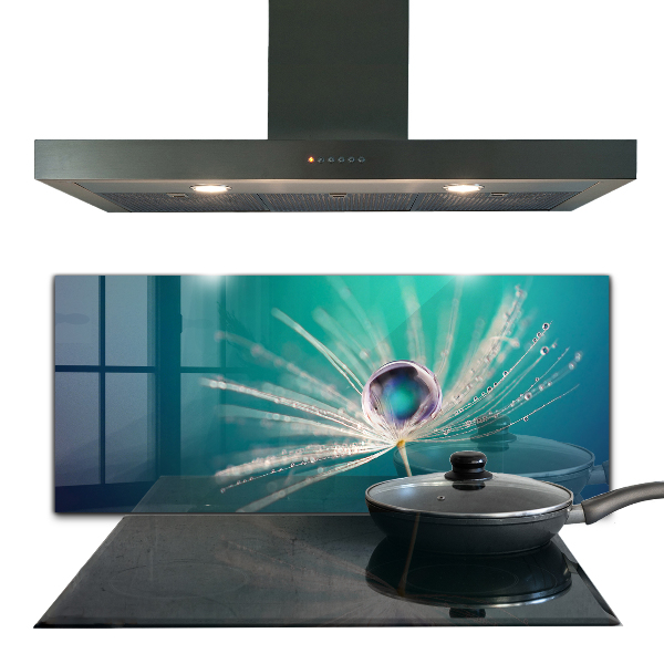 Szkło na ścianę do kuchni Mniszek z Kroplą Rosy