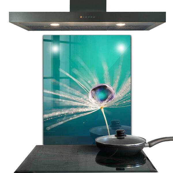 Szkło na ścianę do kuchni Mniszek z Kroplą Rosy