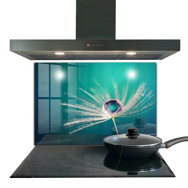 Szkło na ścianę do kuchni Mniszek z Kroplą Rosy