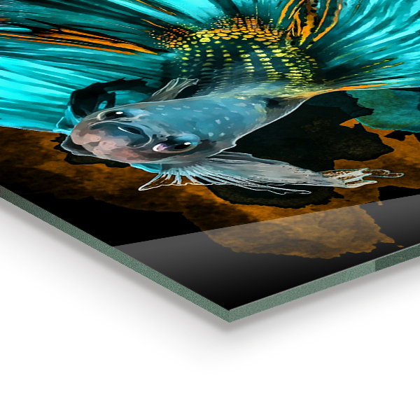 Panel szklany do kuchni Tropikalna Ryba Bojownik