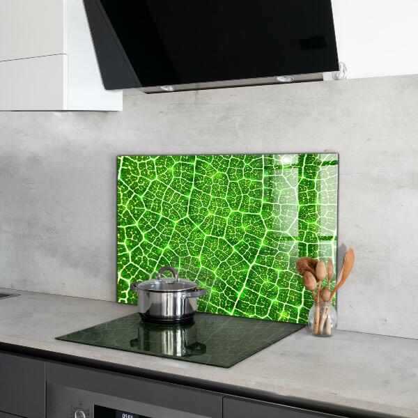 Szkło na ścianę do kuchni Siła Zieleni Botanika