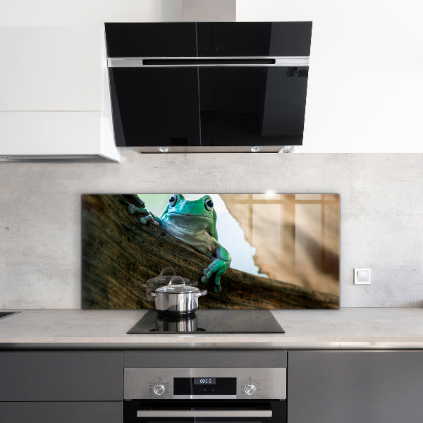 Panel szklany do kuchni Żaba Afrykańska Portret