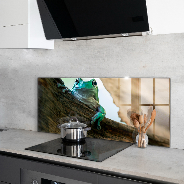 Panel szklany do kuchni Żaba Afrykańska Portret