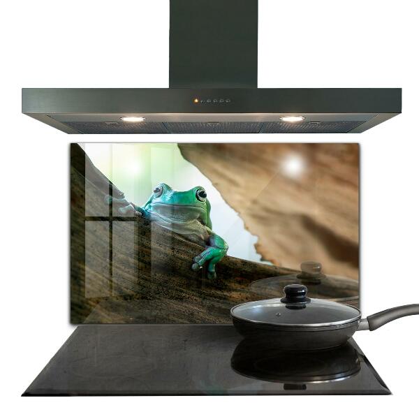 Panel szklany do kuchni Żaba Afrykańska Portret