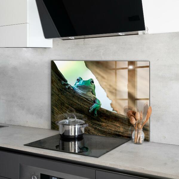 Panel szklany do kuchni Żaba Afrykańska Portret