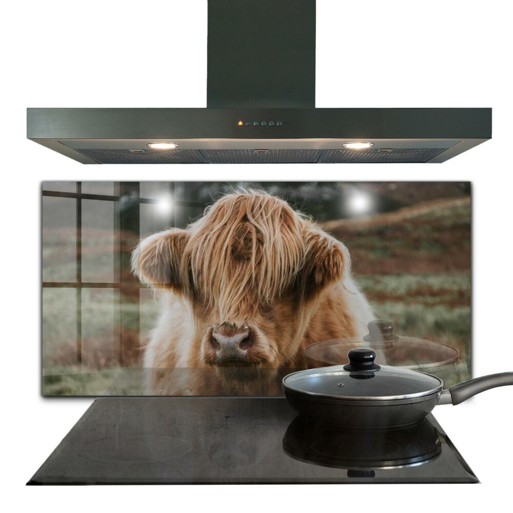 Panel szklany do kuchni Krowa Highland Styl Cottage