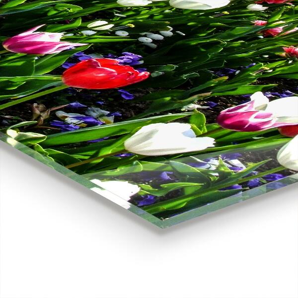 Panel szklany do kuchni Łąka Letnie Kwiaty