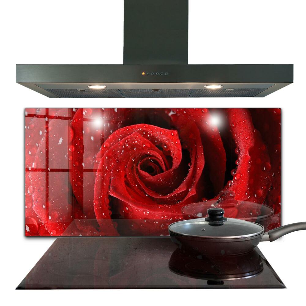 Szklany panel do kuchni Krople Rosy na Czerwonej Róży