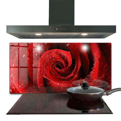 Szklany panel do kuchni Krople Rosy na Czerwonej Róży