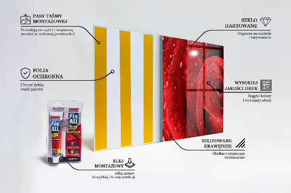 Szklany panel do kuchni Krople Rosy na Czerwonej Róży