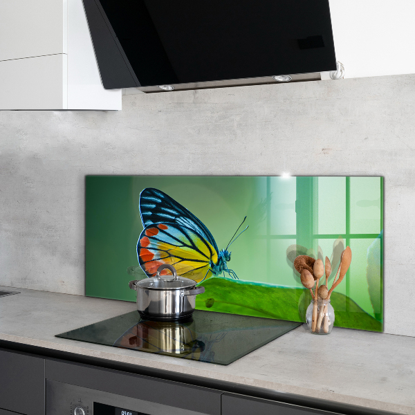 Panel szklany do kuchni Motyl odpoczywający na Liściu