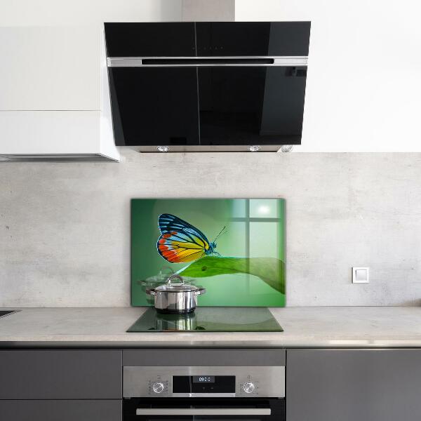 Panel szklany do kuchni Motyl odpoczywający na Liściu