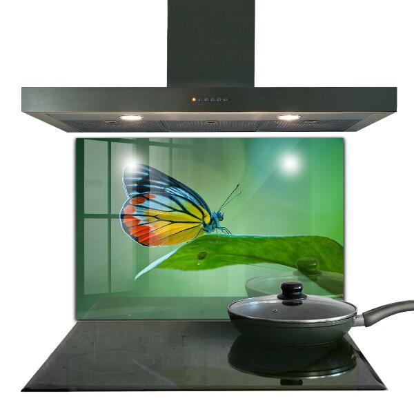 Panel szklany do kuchni Motyl odpoczywający na Liściu