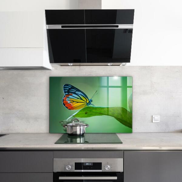 Panel szklany do kuchni Motyl odpoczywający na Liściu