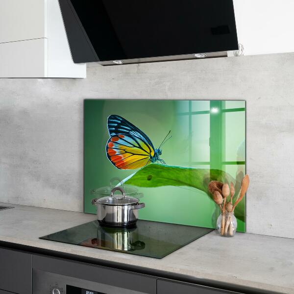 Panel szklany do kuchni Motyl odpoczywający na Liściu