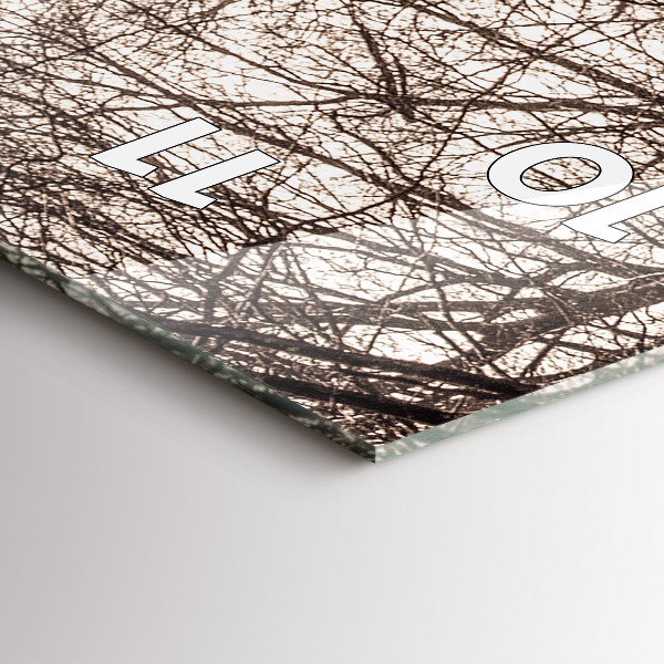 Zegar szklany pionowy Ścieżka leśna w sepii