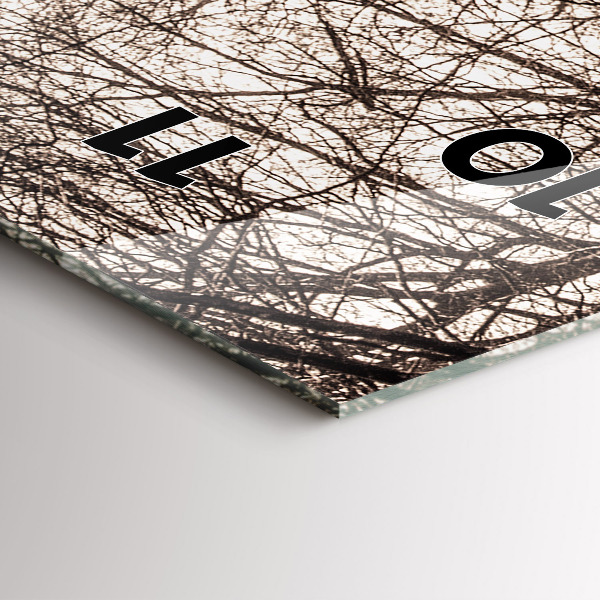 Zegar szklany pionowy Ścieżka leśna w sepii