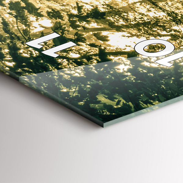 Zegar szklany pionowy Promienie słoneczne Las