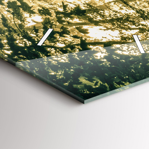 Zegar szklany pionowy Promienie słoneczne Las