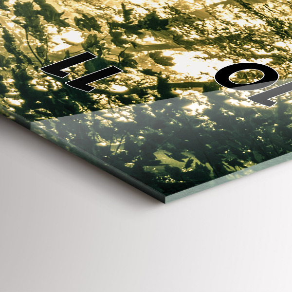 Zegar szklany pionowy Promienie słoneczne Las