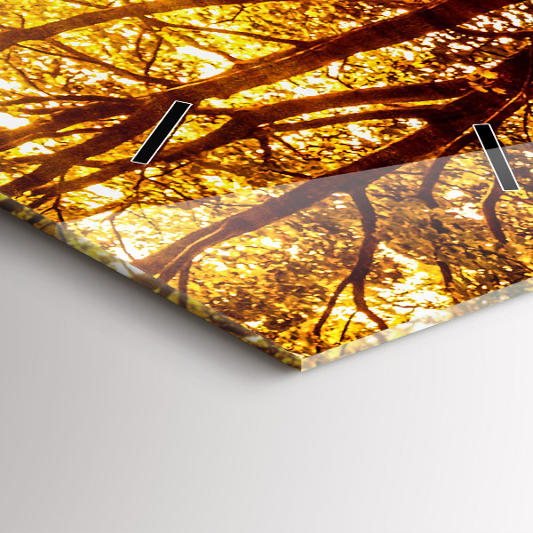 Zegar szklany pionowy Pejzaż lasu w słońcu