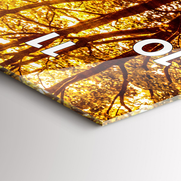 Zegar szklany pionowy Pejzaż lasu w słońcu