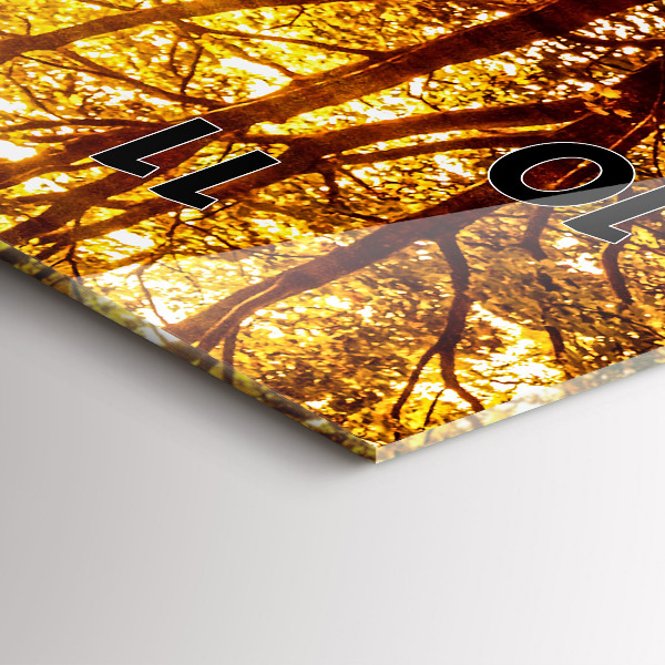 Zegar szklany pionowy Pejzaż lasu w słońcu