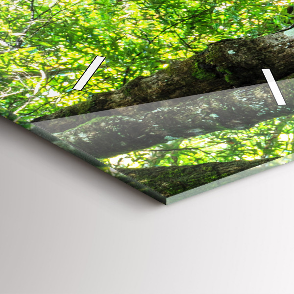 Zegar szklany pionowy Wodospad w lesie