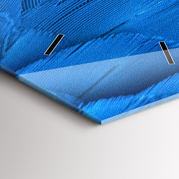 Zegar szklany pionowy Pióro ptaka