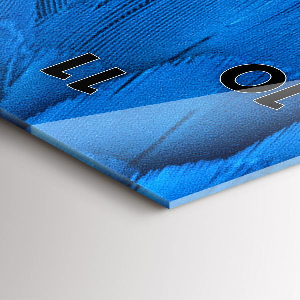 Zegar szklany pionowy Pióro ptaka