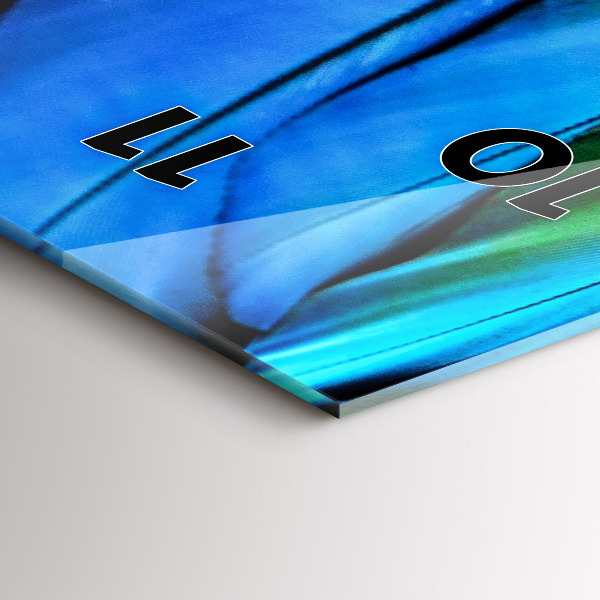 Zegar szklany pionowy Kolorowe skrzydła ptaka