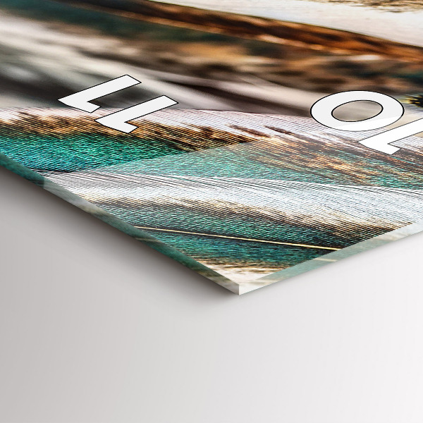 Zegar szklany pionowy Jasnobrązowe pióra ptaka