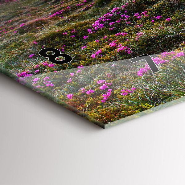 Zegar ścienny poziomy Wschód słońca kwiaty