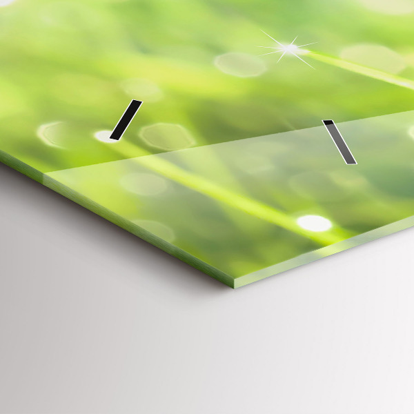 Zegar ścienny poziomy Zielona trawa