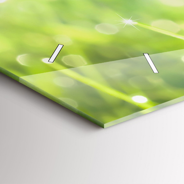 Zegar ścienny poziomy Zielona trawa