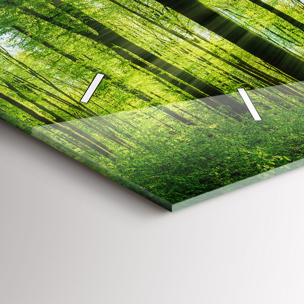 Zegar ścienny poziomy Natura las drzewa