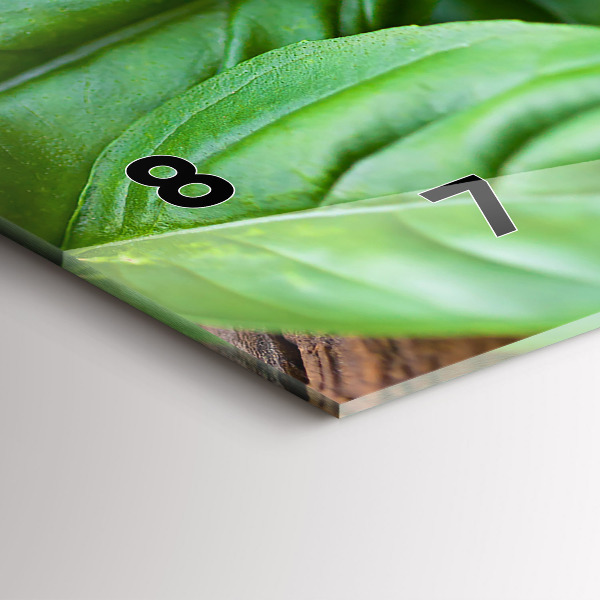 Zegar szklany poziomy Liście bazylii