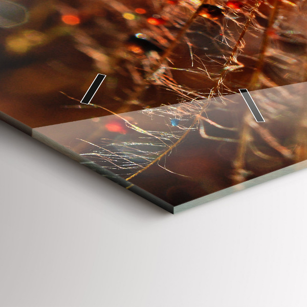 Zegar ścienny poziomy Dmuchawiec z rosą